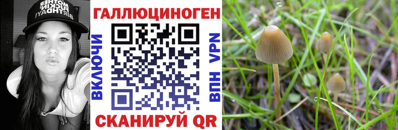 Псилоцибиновые грибы Magic Shrooms  Тулун 